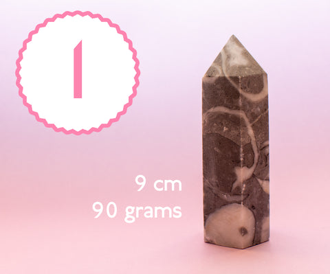 Shell Jasper